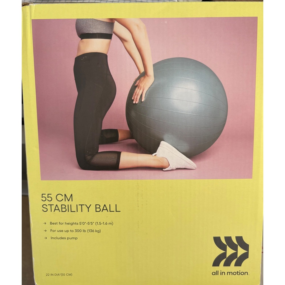 All in Motion 55cm Stability Ball Gray with Pump Anti-Burst 300lb Capacity